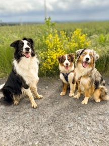 cdcd32a292d26ecd93109a2199d360d9-cropped.jpg