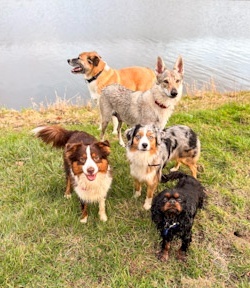 f81c35ba96e3a70ae8e339db761b4e38-cropped.jpg